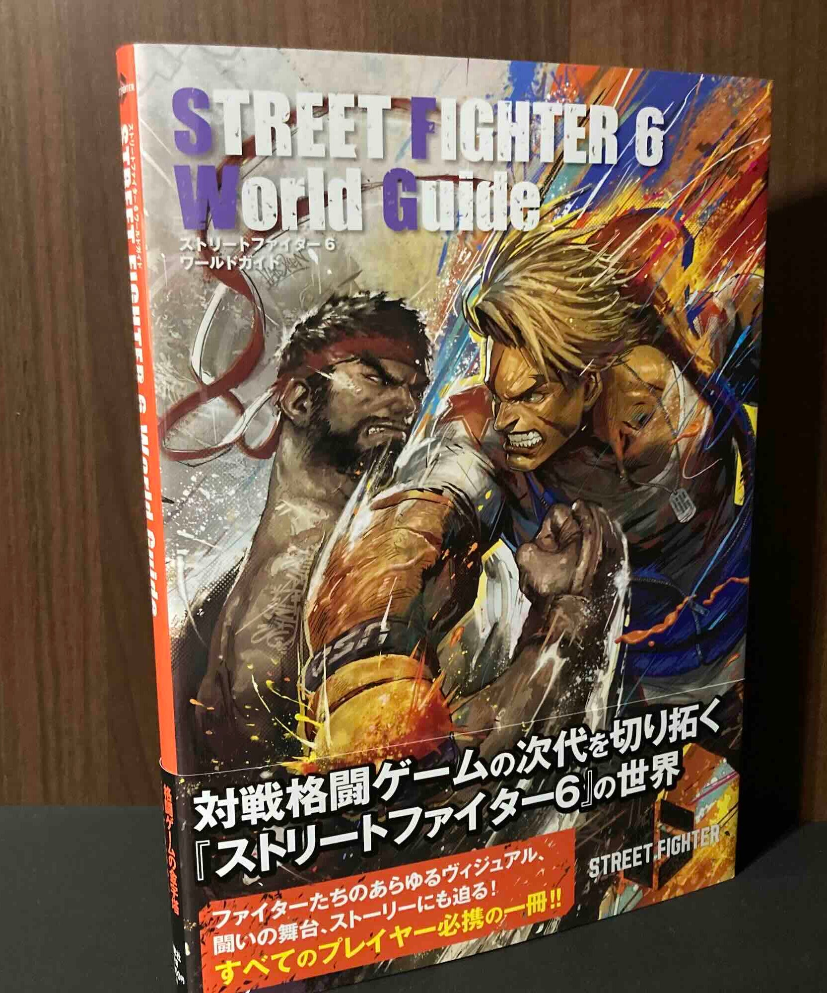Street Fighter 6 World Guide