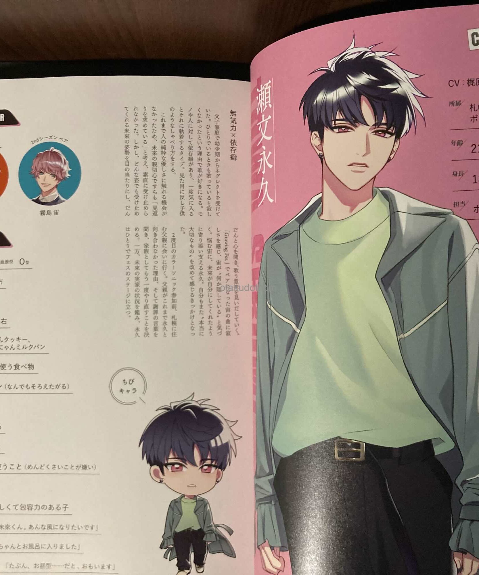 Tokyo Color Sonic Official Fanbook Evolving!