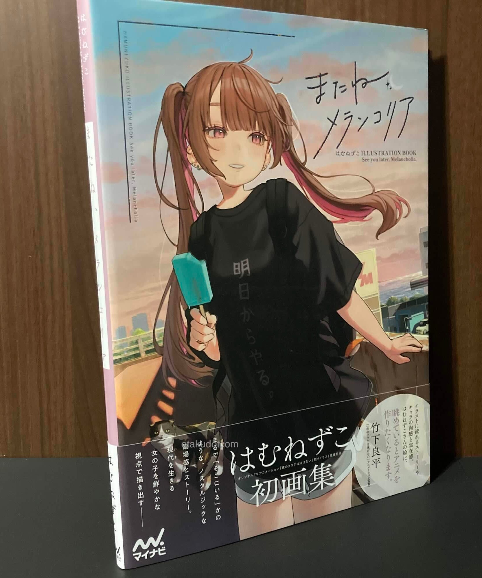 Hamunezuko Illustration book