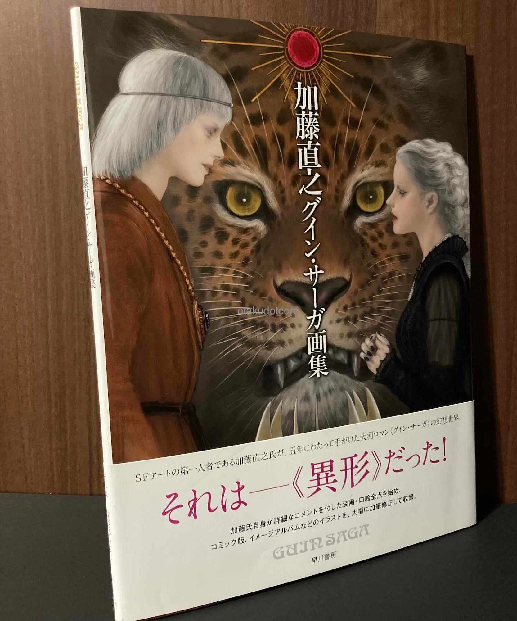 Naoyuki Kato Illustrations - Guin Saga