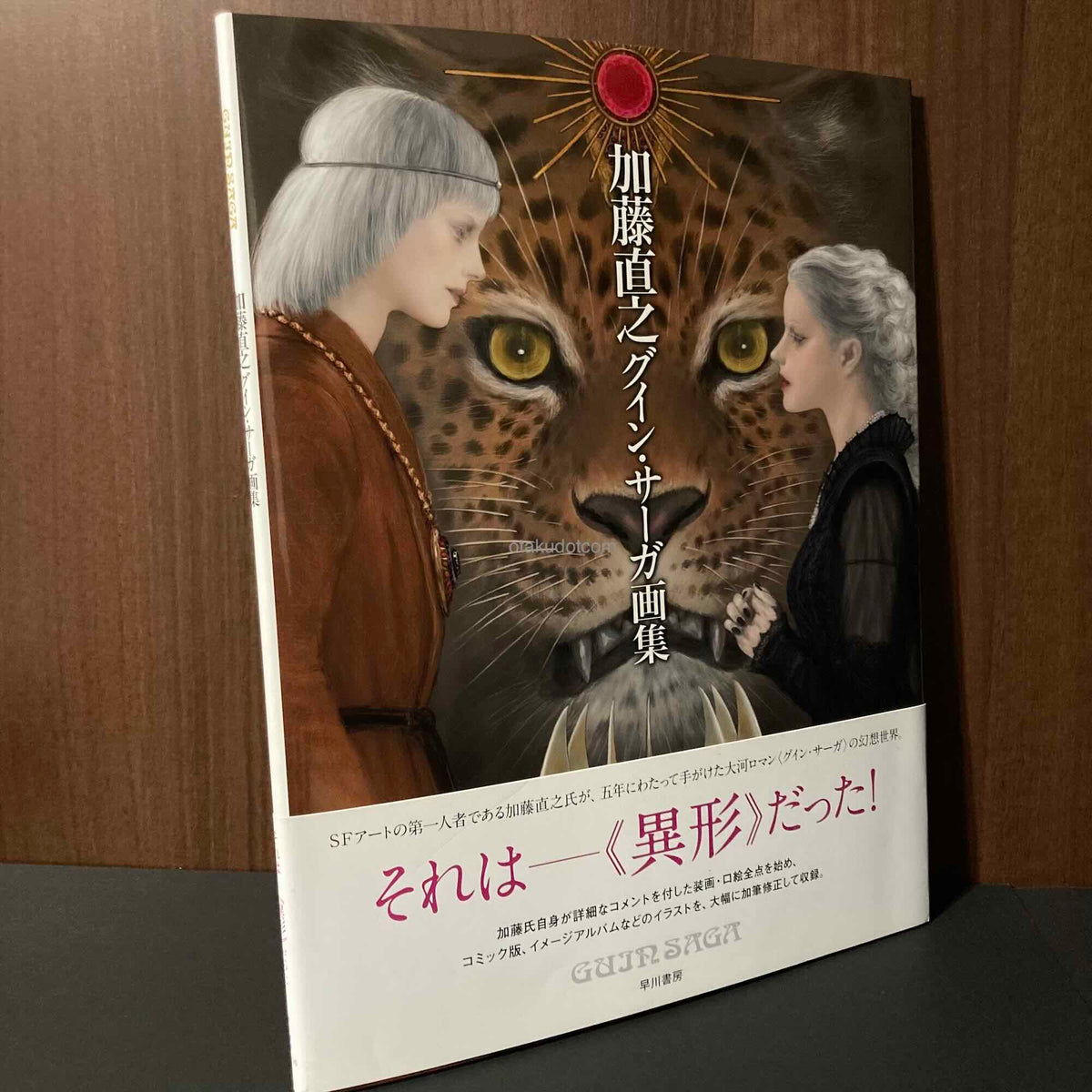 Naoyuki Kato Illustrations - Guin Saga