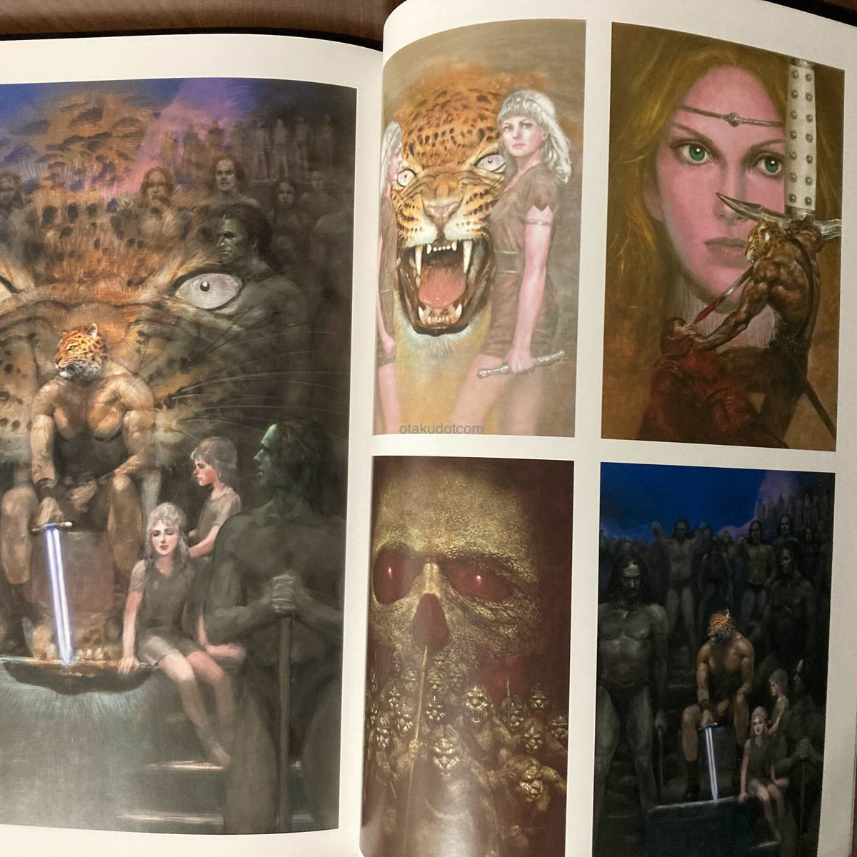 Naoyuki Kato Illustrations - Guin Saga