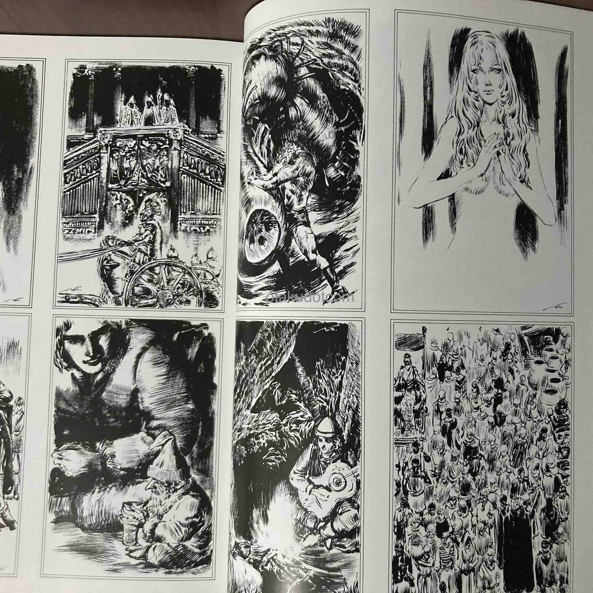 Naoyuki Kato Illustrations - Guin Saga
