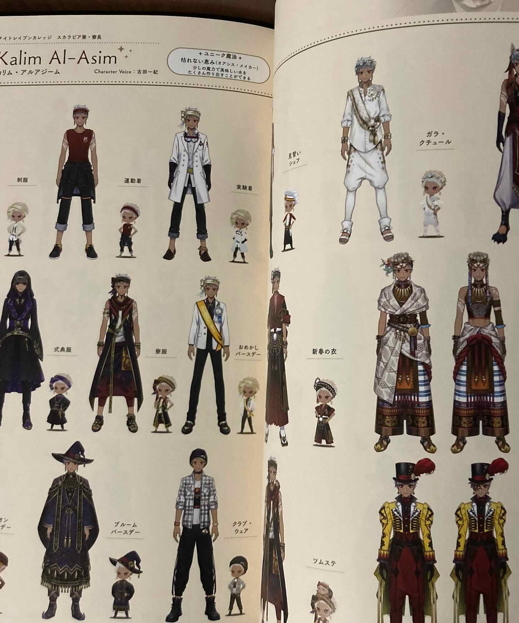 Twisted Wonderland Official Guide Book Magical Archives II