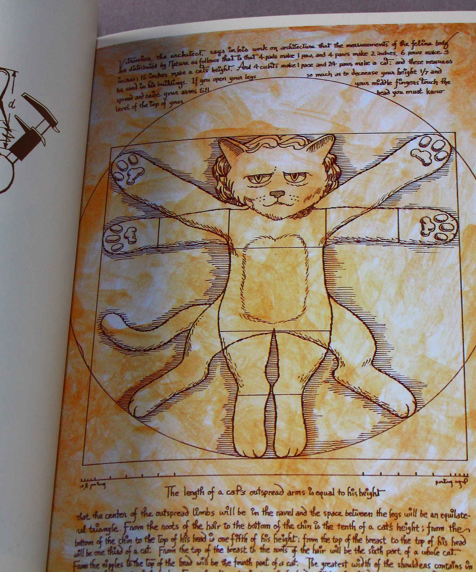 Shu Yamamoto - Cat Art