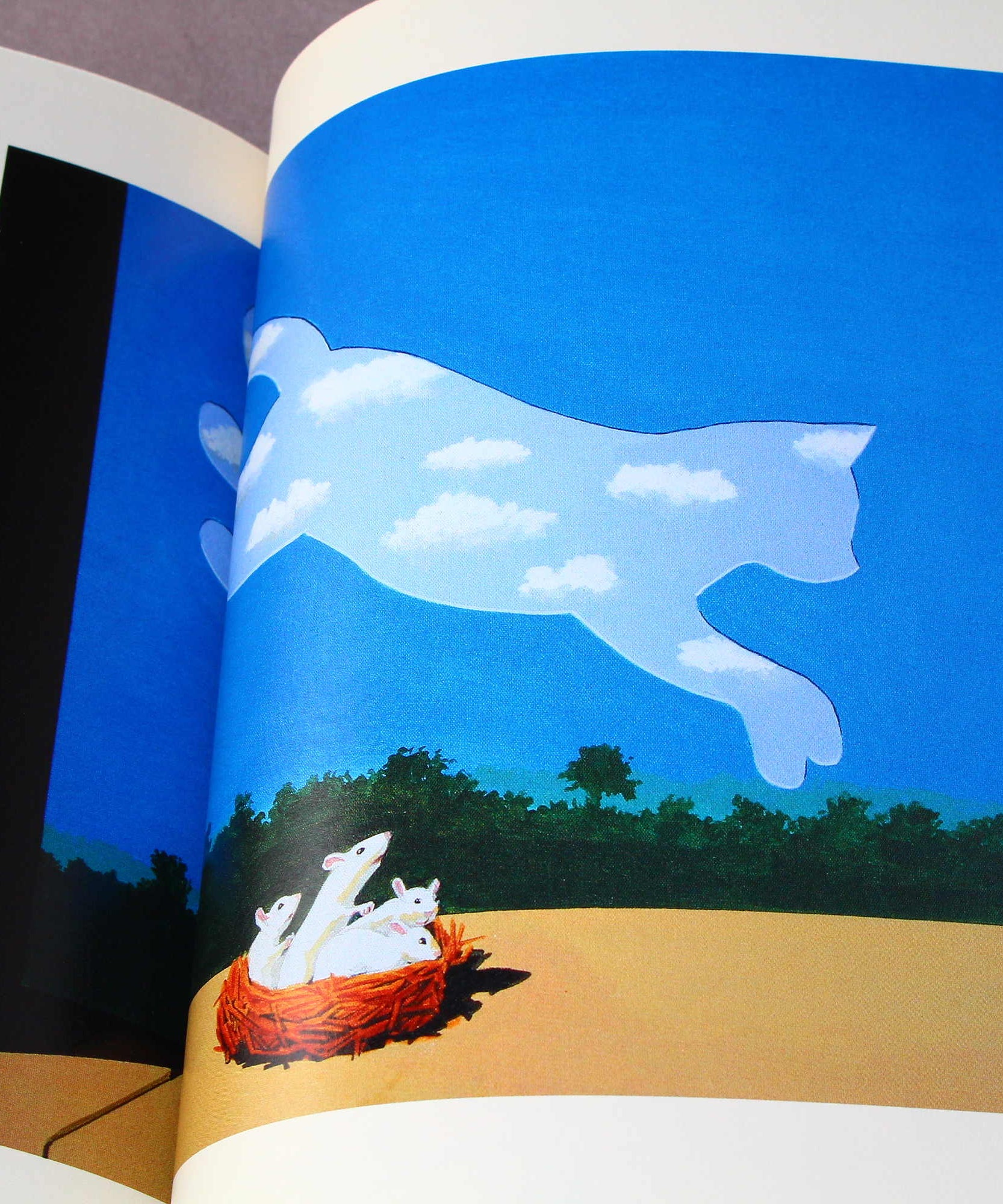 Shu Yamamoto - Cat Art