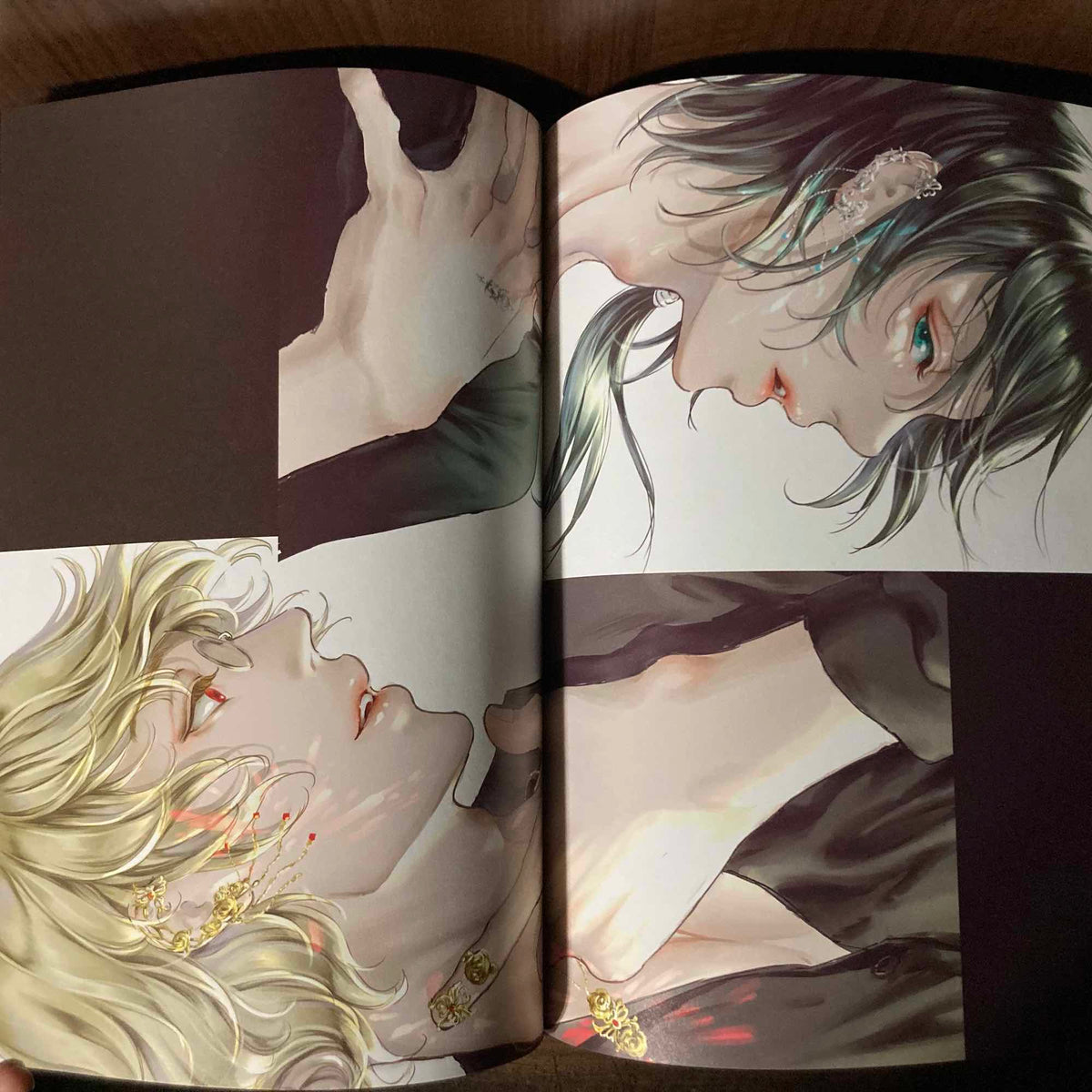 Nao Tsukiji Art Book: Hihocho