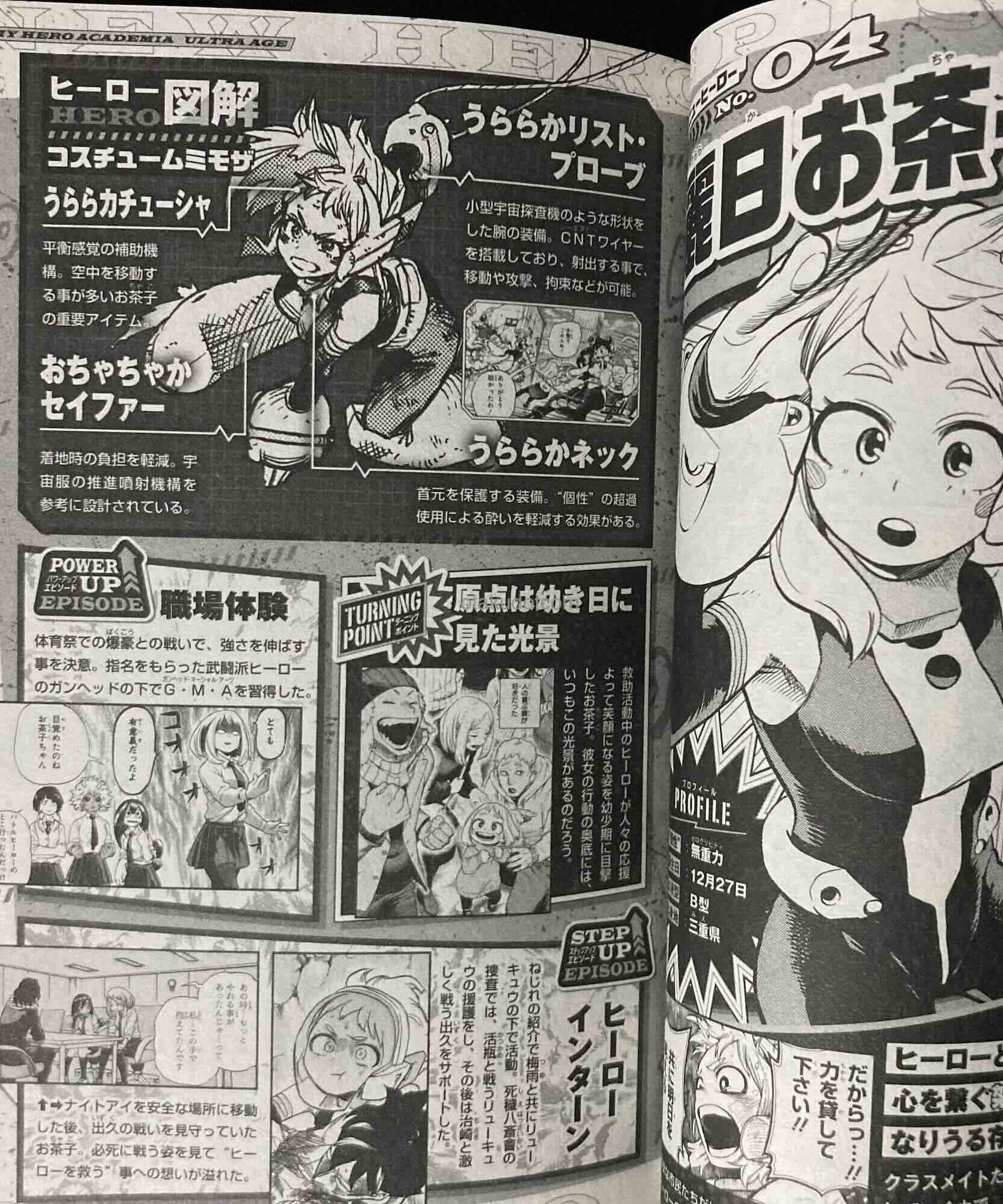 MY HERO ACADEMIA Final Fanbook Ultra Age