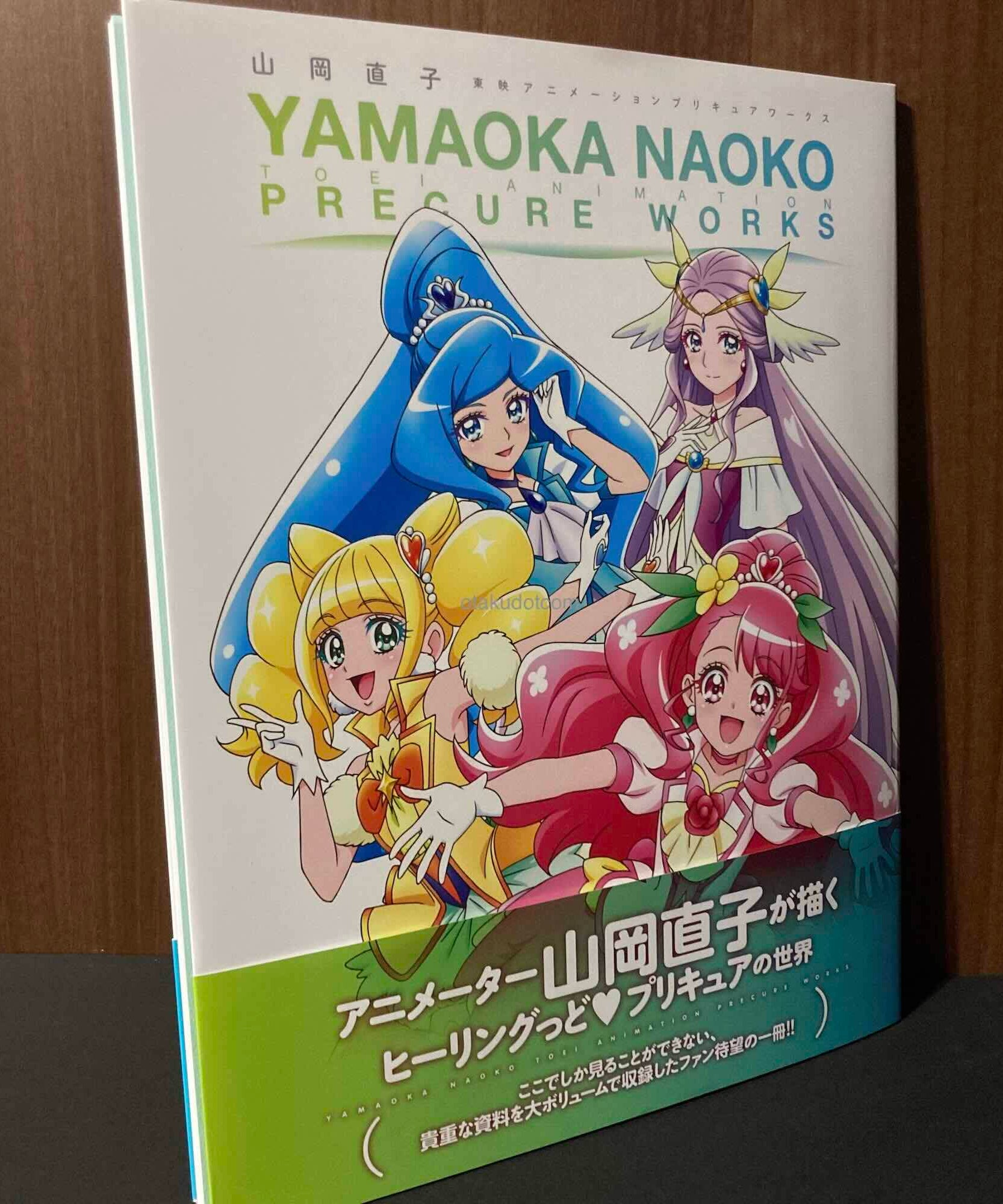 Yamaoka Naoko Precure Works