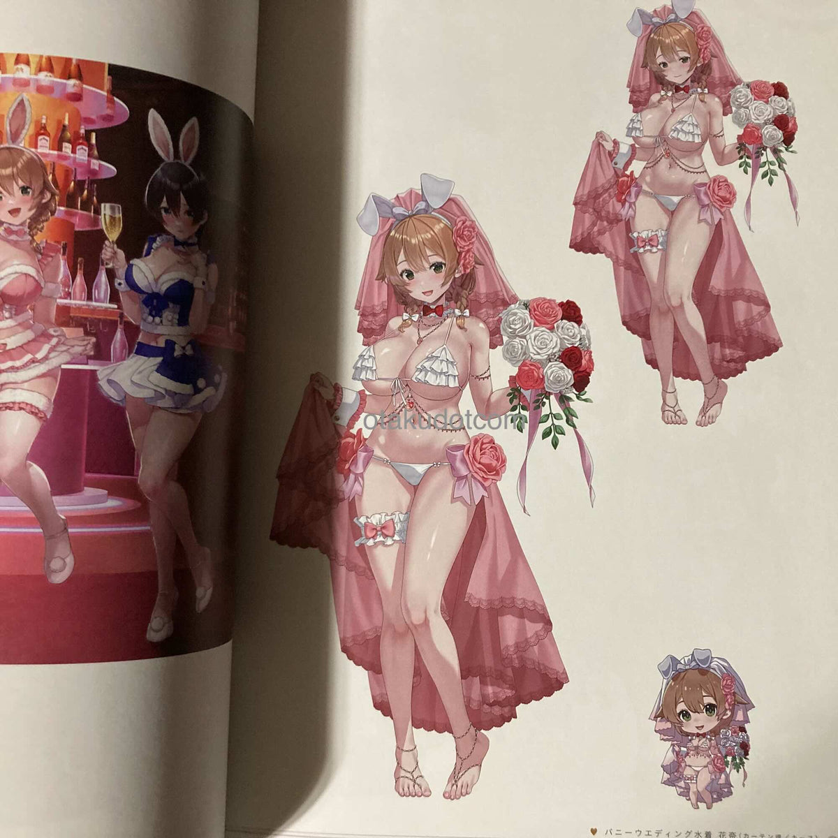 Bunny Garden and Merry Bunny Garden Official Visual Fanbook