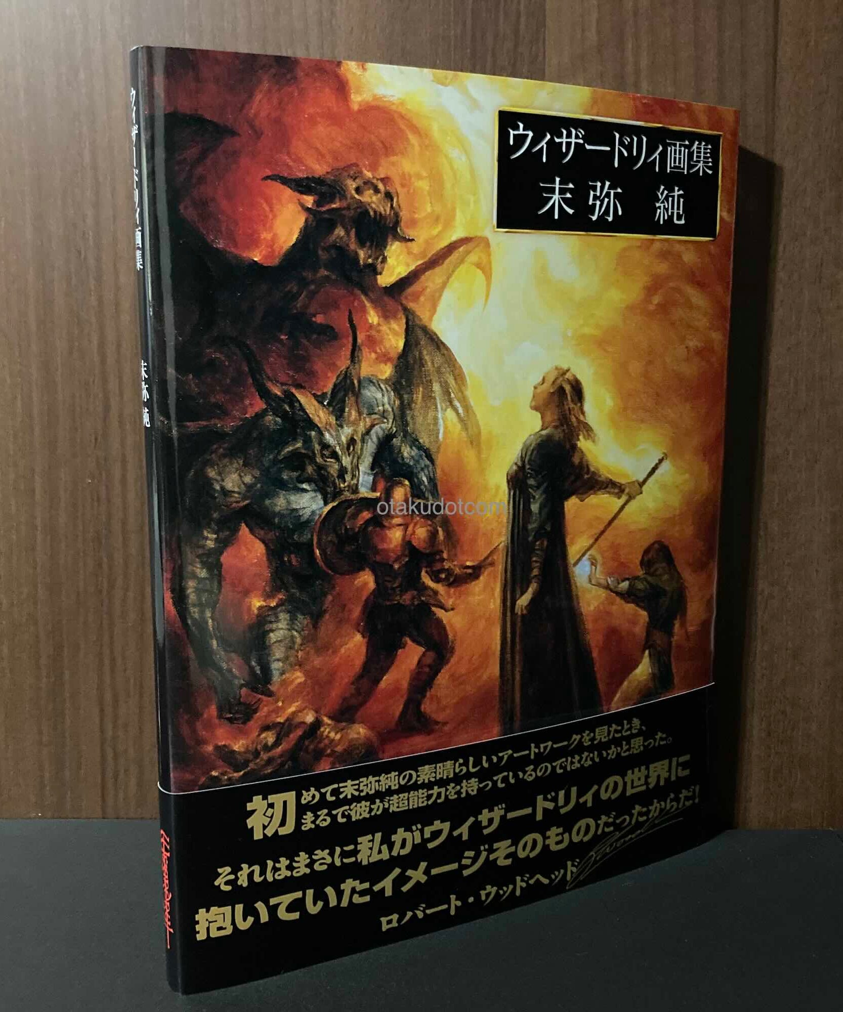 Wizardry - Jun Suemi Artworks
