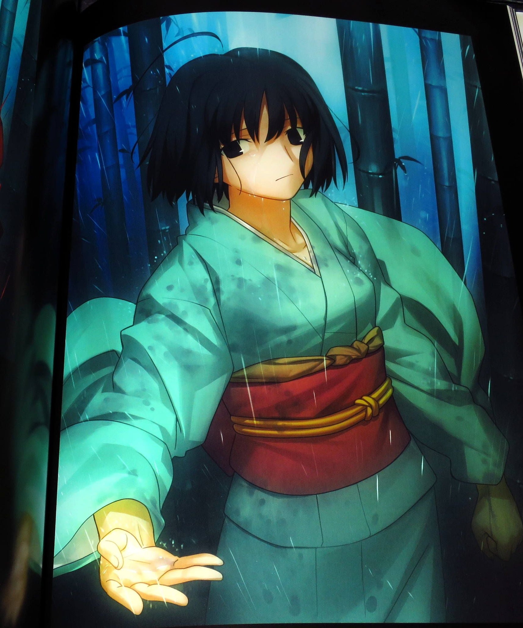 The Garden of Sinners - Complete Artworks