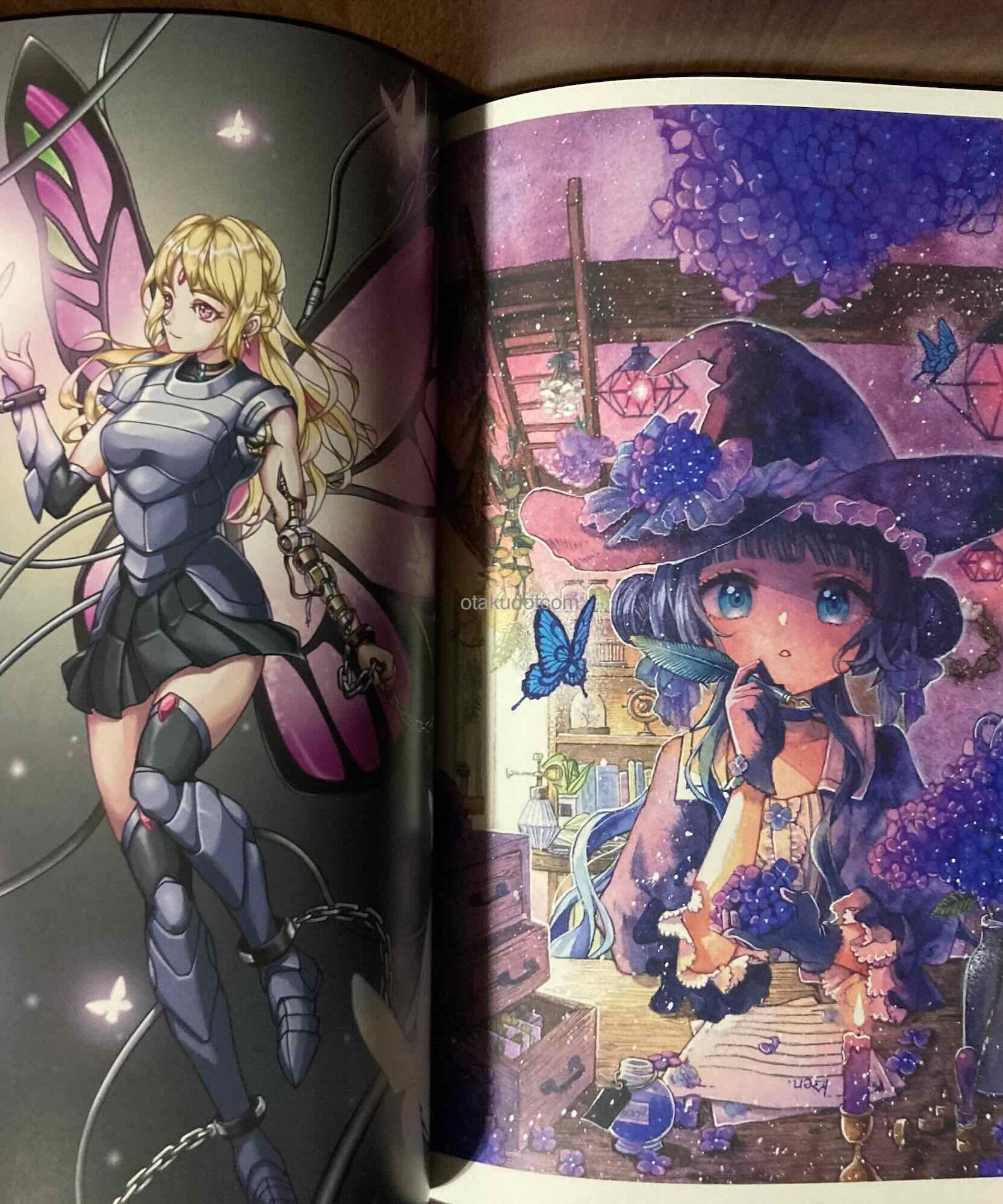 Fantasy 2025 (Art Book of Selected Illustration)