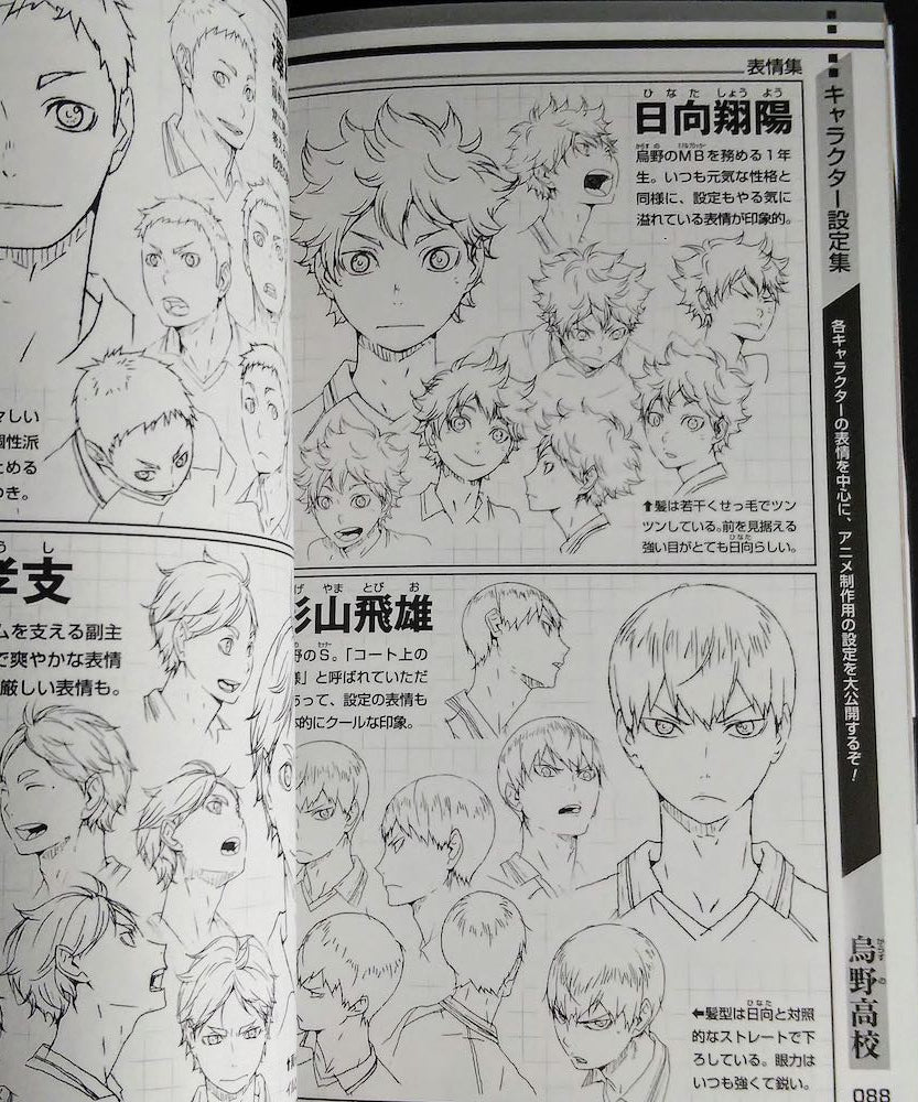 Haikyu Seishun Meikan TV Anime Official Guide Book