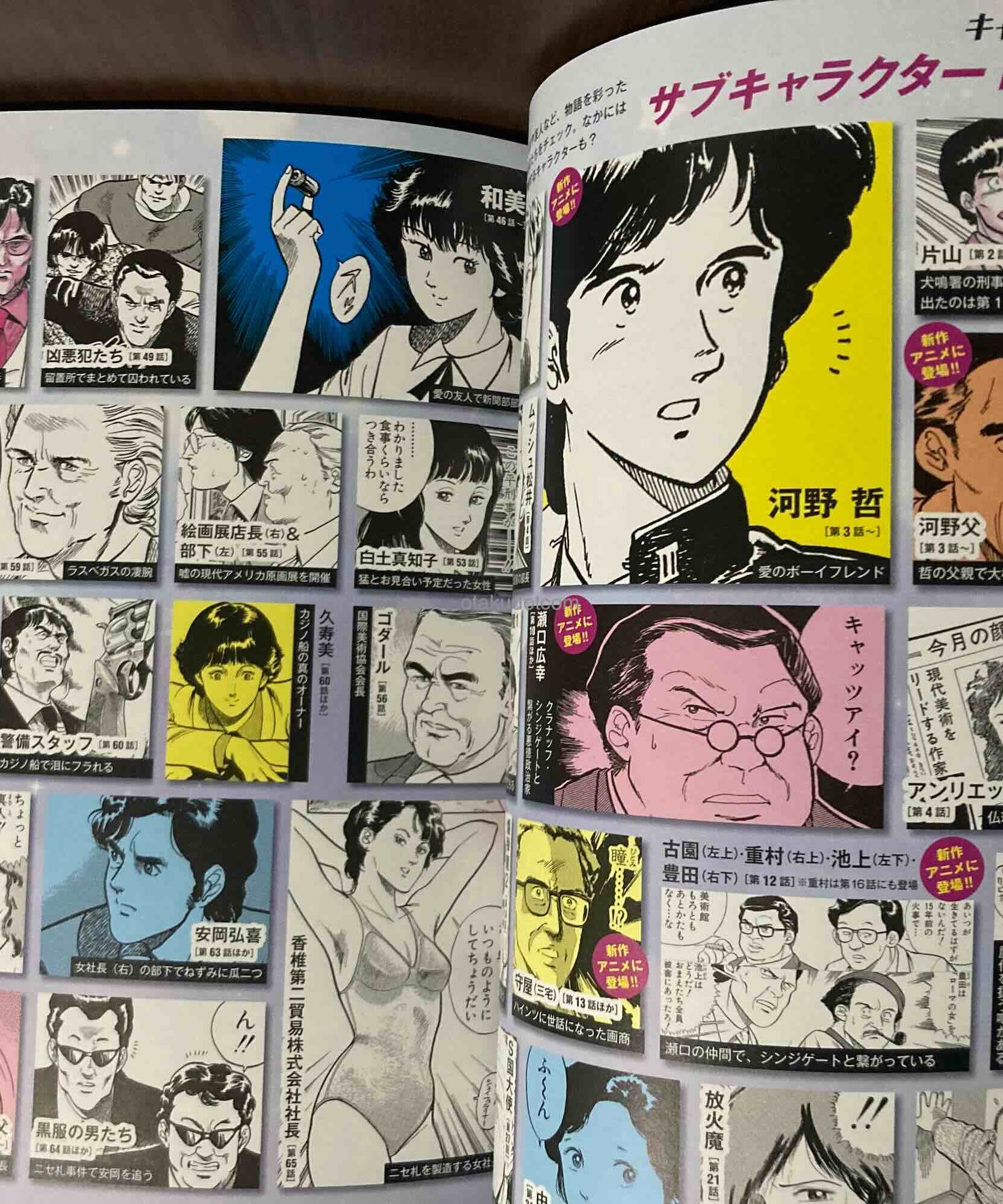 Cat's Eye Gaho 45th Anniversary Art and Guide Book