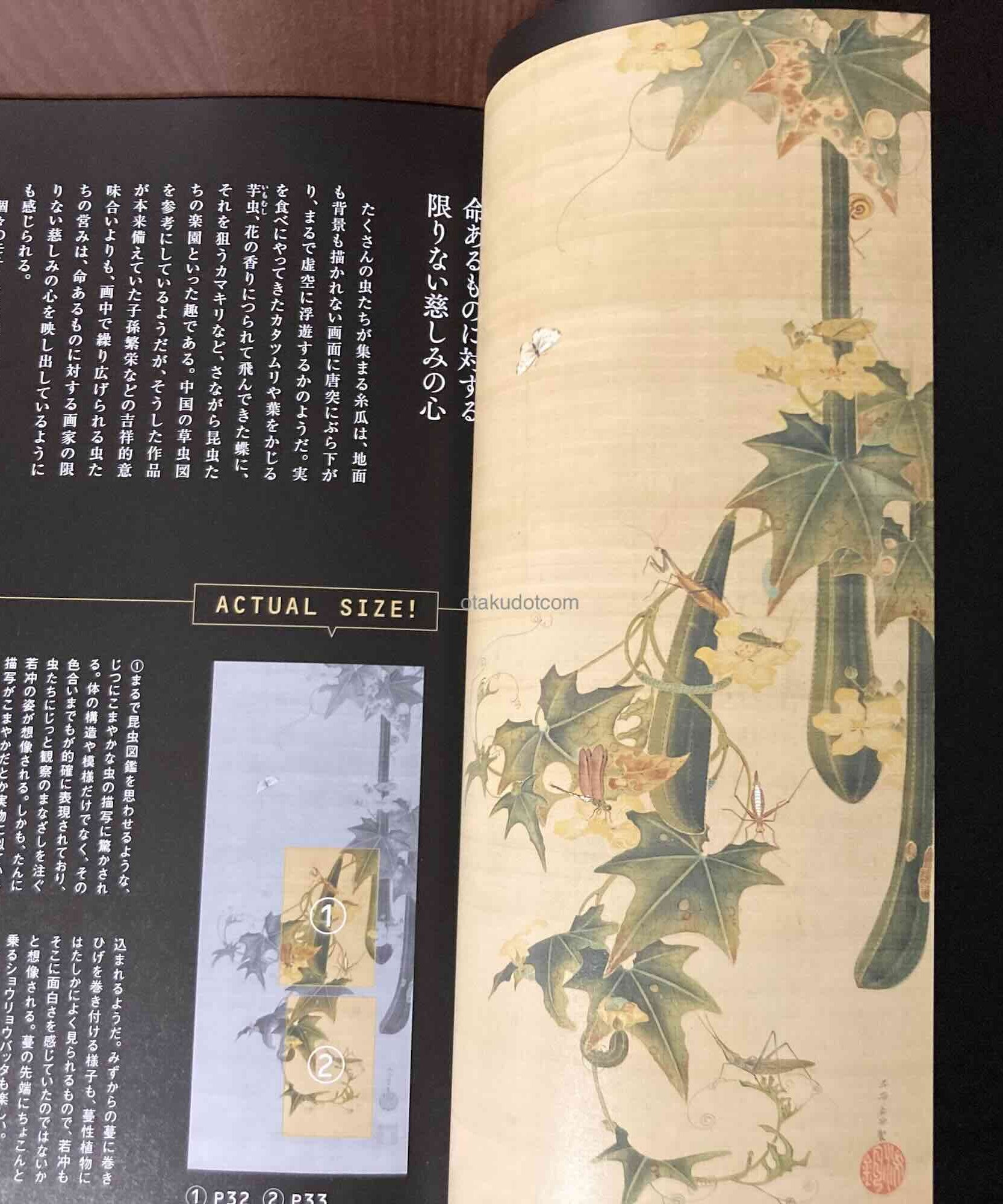 Ito Jakuchu 100% Jakuchu plus