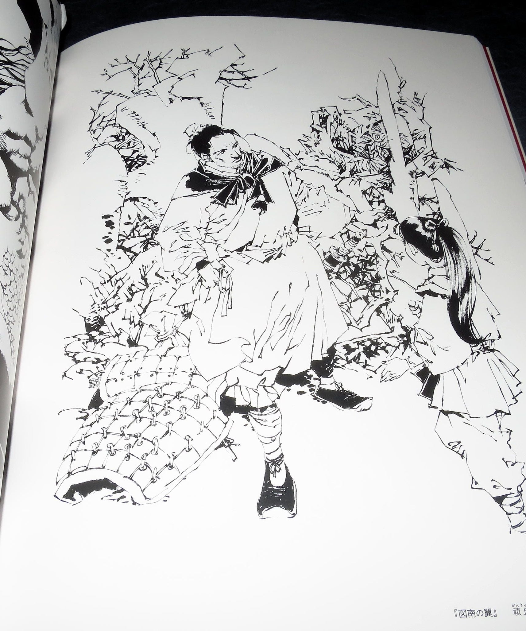 Akihiro Yamada - Kuon no Niwa / Twelve Kingdoms - Art Book