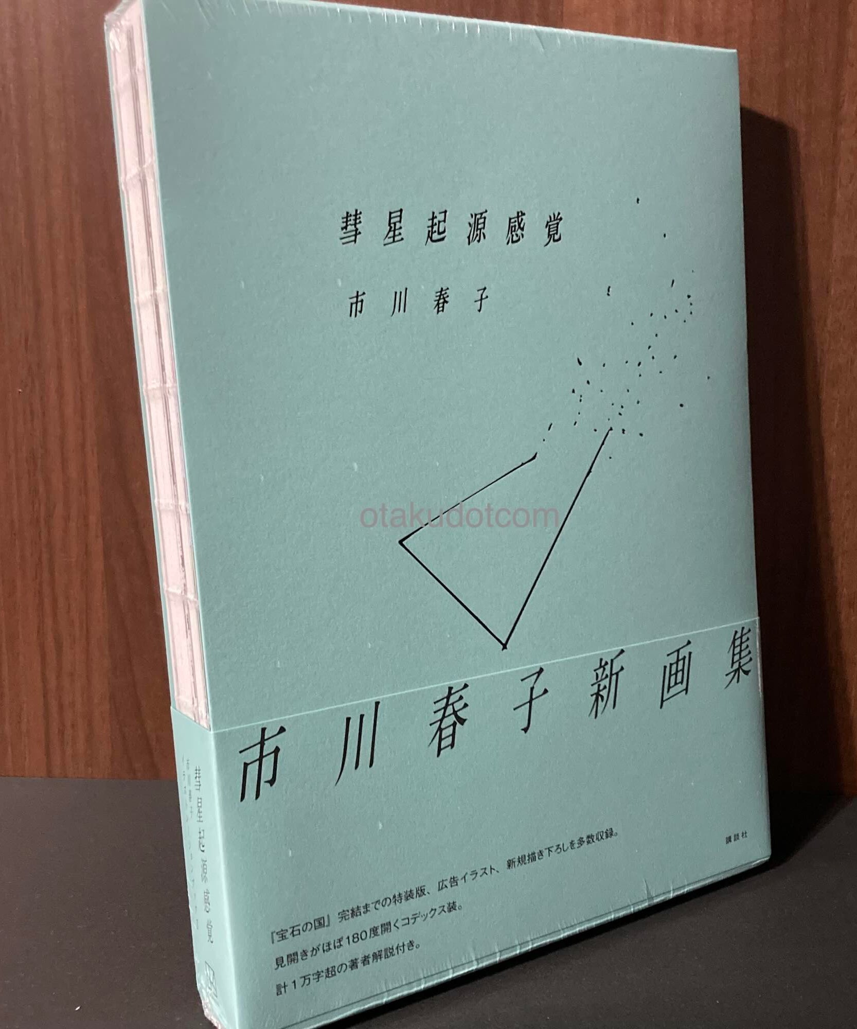 Ichikawa Haruko Illustration Book 2 - Suisei kigen kankaku
