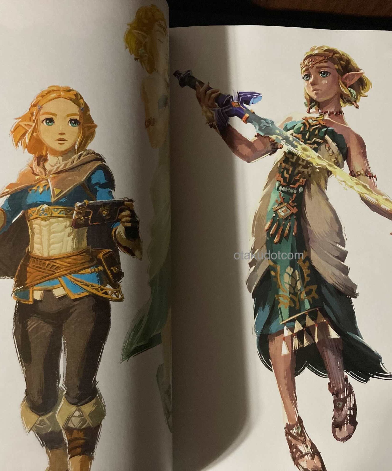 The Legend of Zelda Tears of the Kingdom Master Works