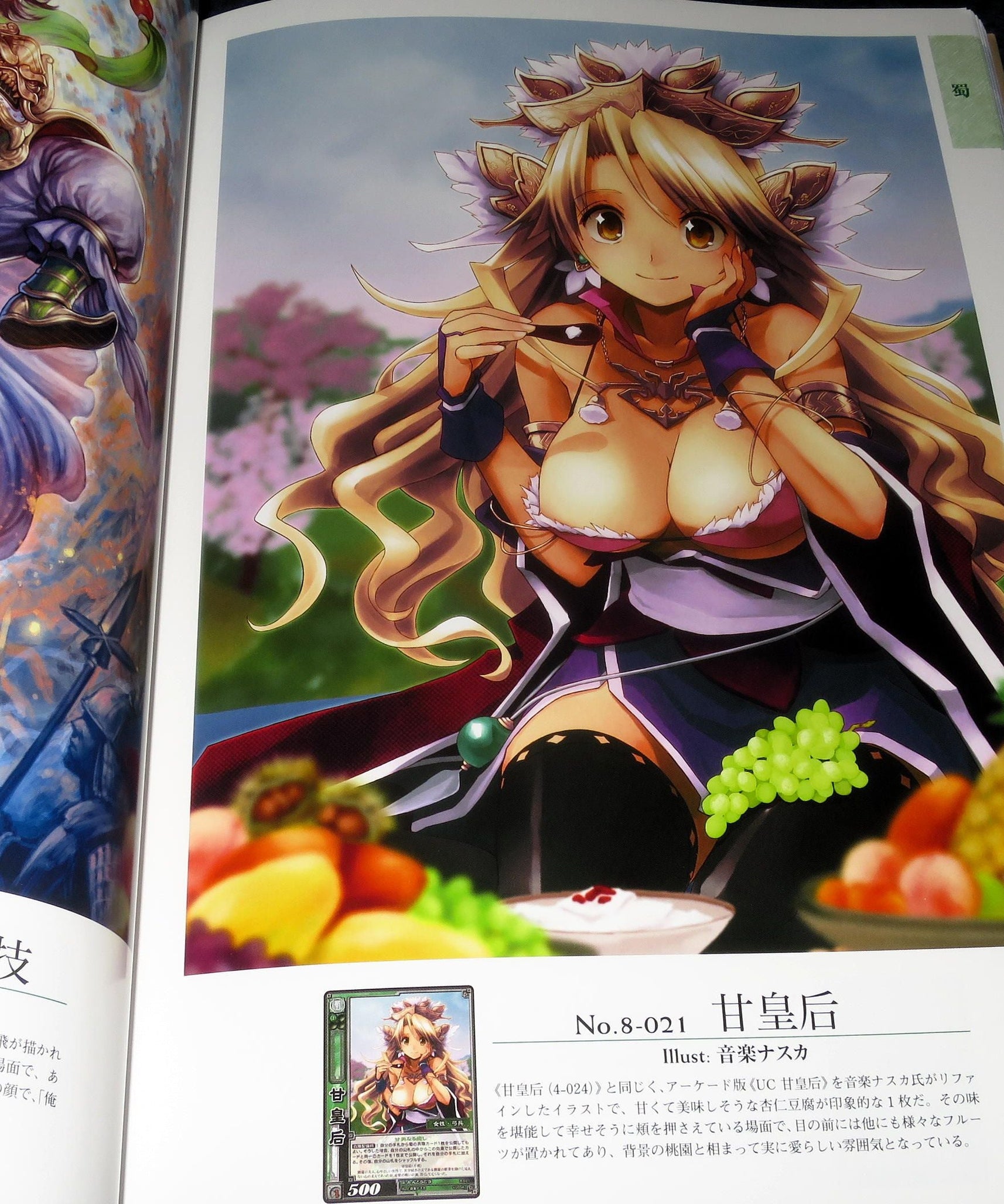 Sangokushi Taisen Trading Card Game - Visual Guide Art Book