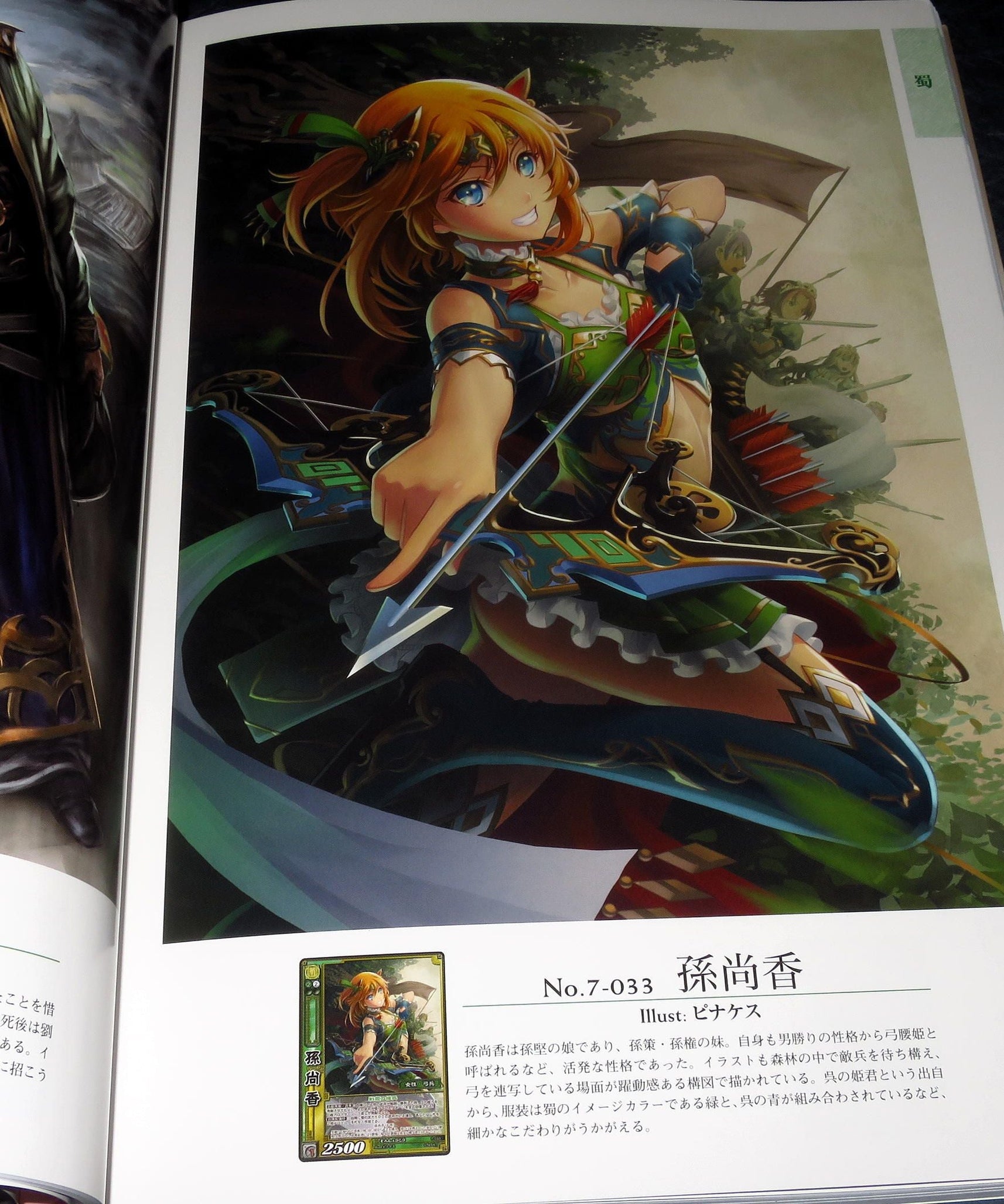 Sangokushi Taisen Trading Card Game - Visual Guide Art Book
