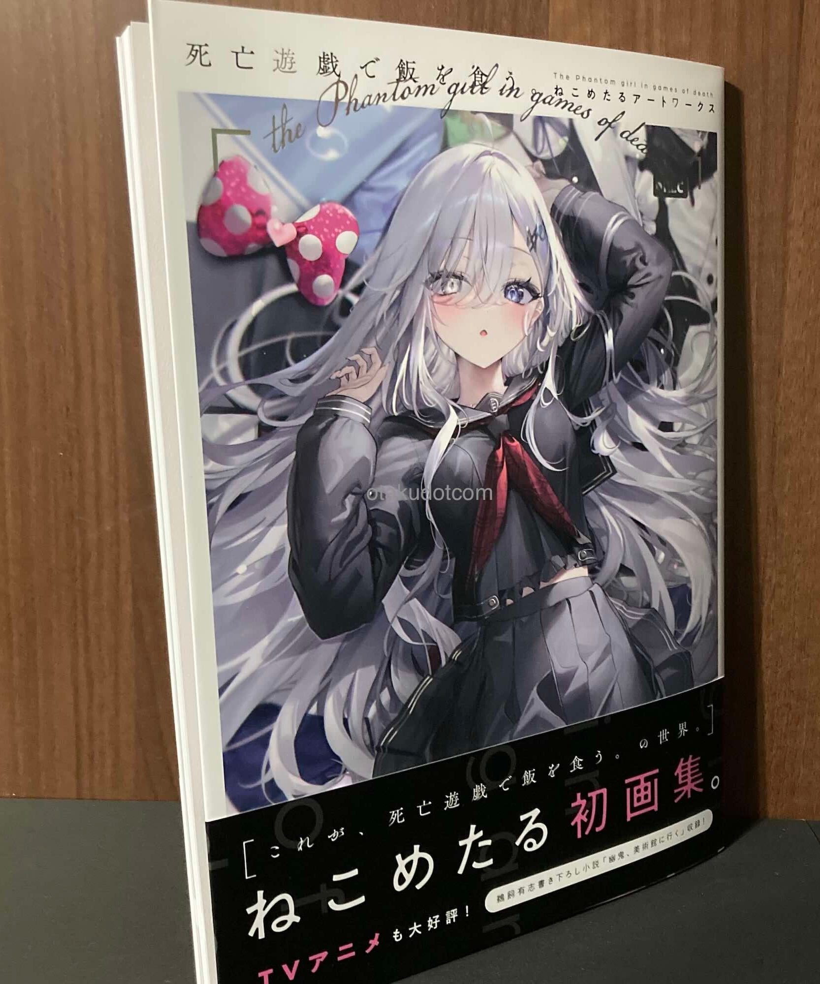 The Phantom Girl in Games of Death - Necometaru Artworks