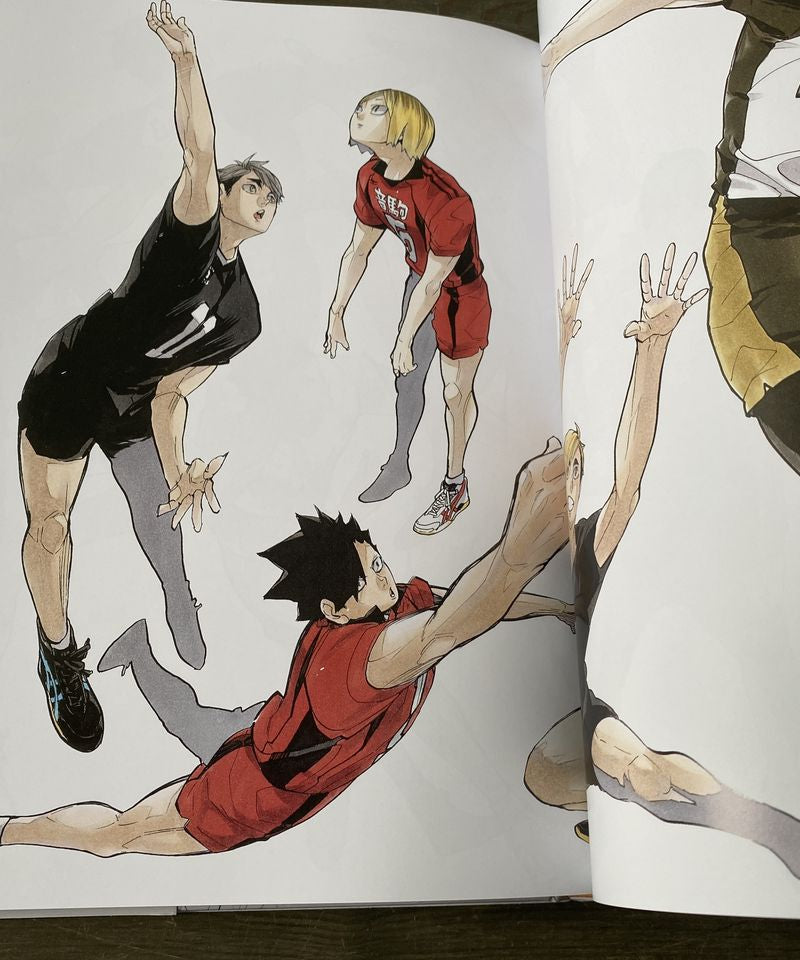 The Art of Haikyu!!: Endings and Beginning