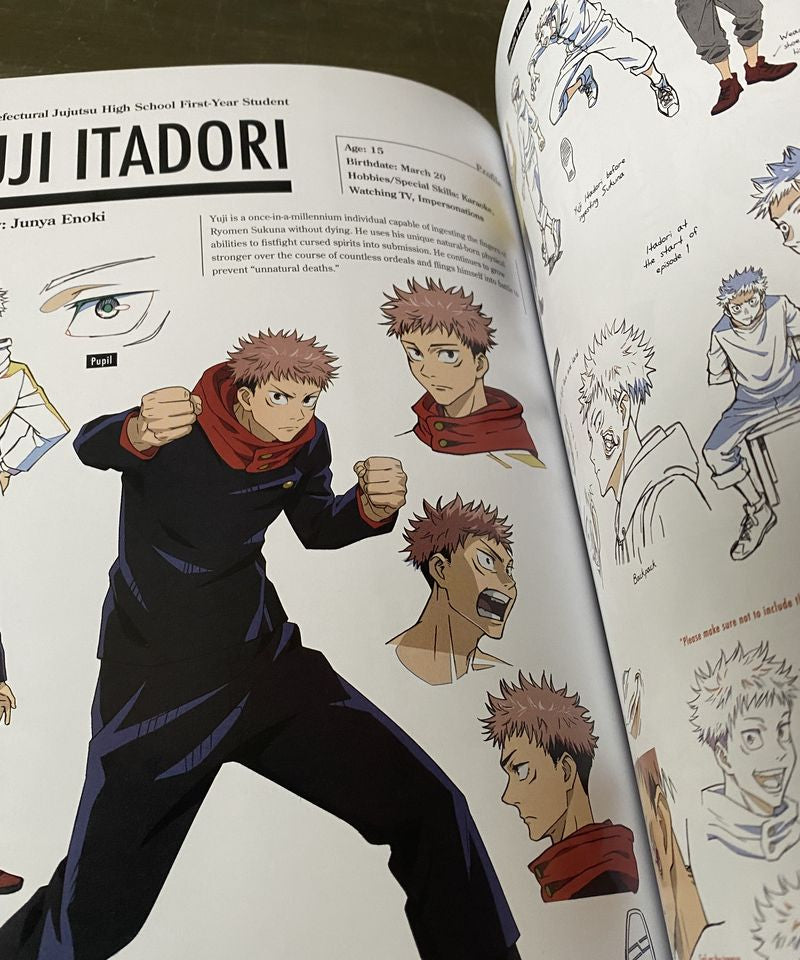 Jujutsu Kaisen: The Official Anime Guide: Season 1