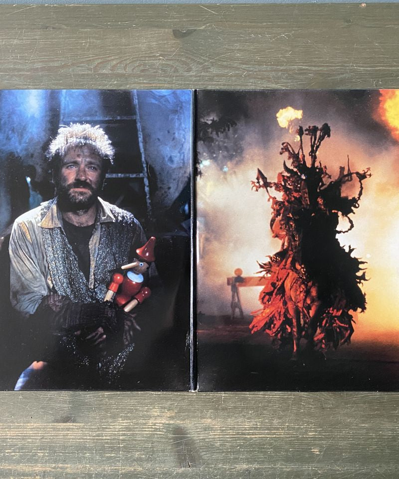 The Fisher King