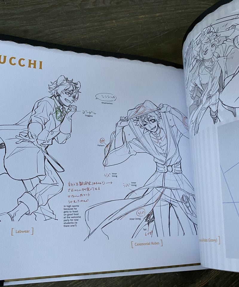 Disney Twisted-Wonderland: The Official Art Book