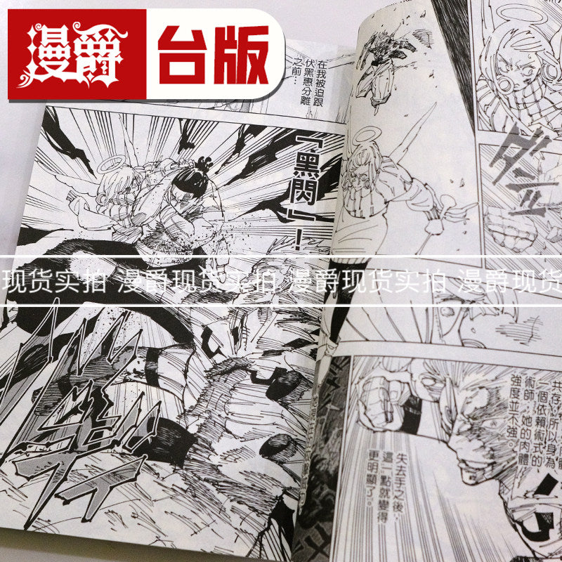 Jujutsu Kaisen Vol. 30 Final Volume Manga Traditional Chinese Edition